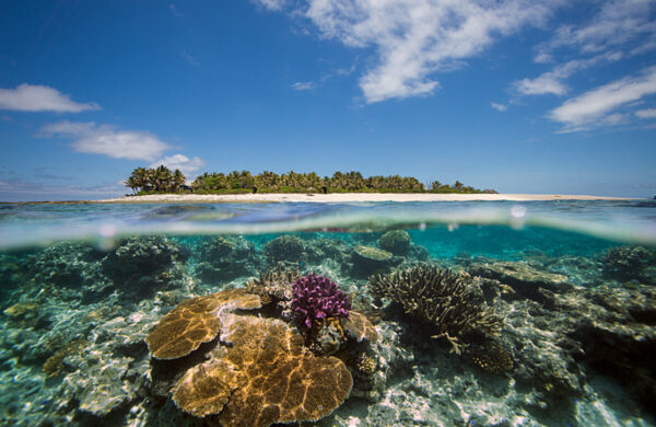 The reef surrounding Namotu Island, Fiji, an over under shot of a coral reef with colourful corals, and clear sea water, with signs of coral bleaching caused by increasing ocean temperatures.